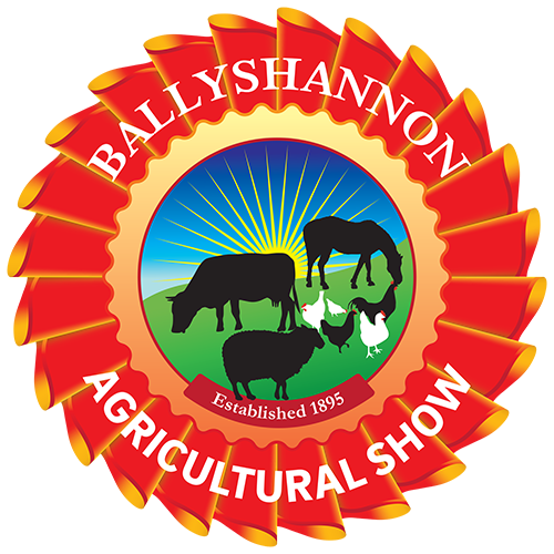 website logo