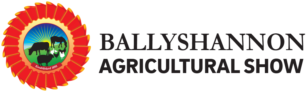 website logo